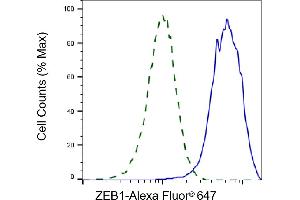 Validation of ZEB1 knockdown using flow cytometry. (Recombinant ZEB1 anticorps)