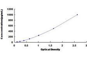 Betacellulin (BTC) ELISA Kit