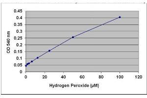 H2O2 Standard Curve. (OxiSelect™ Monoamine Oxidase Assay Kit (Colorimetric))