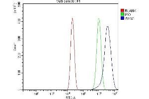 Flow Cytometry analysis of U20S cells using anti-WFS1 antibody (ABIN7602165).