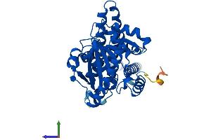 AlphaFold protein structure predicition of Mouse Recombinant Agpat3 Protein, UniprotID Q9D517