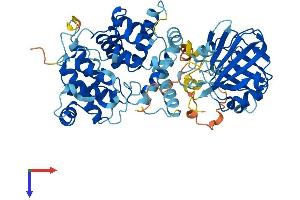AlphaFold protein structure predicition of Mouse Recombinant Tbc1d24 Protein, UniprotID Q3UUG6