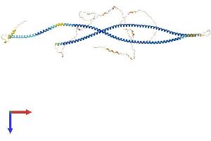 AlphaFold protein structure predicition of Human Recombinant CTAGE15 Protein, UniprotID A4D2H0