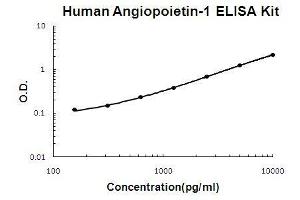 Human Angiopoietin-1 PicoKine ELISA Kit standard curve