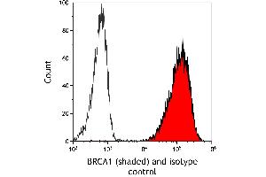 Flow Cytometry (FACS) image for anti-Breast Cancer 1 (BRCA1) (AA 525-575) antibody (ABIN7795735)
