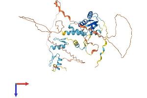 AlphaFold protein structure predicition of Human Recombinant ZBTB9 Protein, UniprotID Q96C00