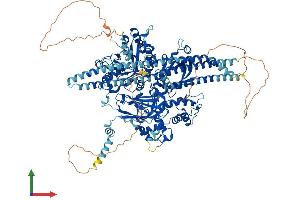 AlphaFold protein structure predicition of Mouse Recombinant Plcb2 Protein, UniprotID A3KGF7