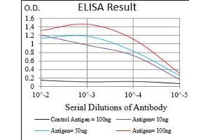 Black line: Control Antigen (100 ng), Purple line: Antigen(10 ng), Blue line: Antigen (50 ng), Red line: Antigen (100 ng),