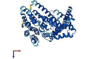 AlphaFold protein structure predicition of Human Recombinant HHAT Protein, UniprotID Q5VTY9