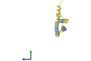AlphaFold protein structure predicition of Human Recombinant NINJ2 Protein, UniprotID Q9NZG7