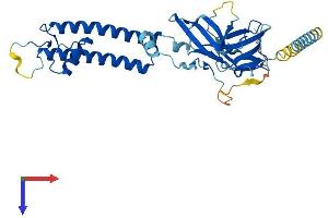 AlphaFold protein structure predicition of Human Recombinant KCNJ15 Protein, UniprotID Q99712