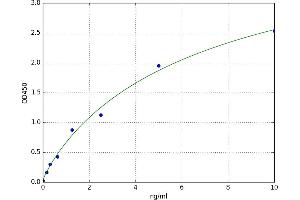 A typical standard curve (CCBL1 Kit ELISA)