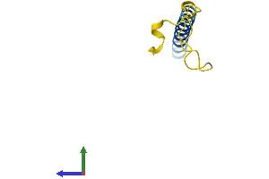 AlphaFold protein structure predicition of Human Recombinant TTTY10 Protein, UniprotID Q9BZA0