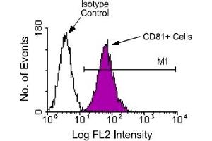 Flow Cytometry (FACS) image for anti-CD81 (CD81) antibody (PE) (ABIN371126) (CD81 anticorps  (PE))