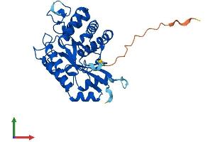 AlphaFold protein structure predicition of Human Recombinant YDJC Protein, UniprotID A8MPS7