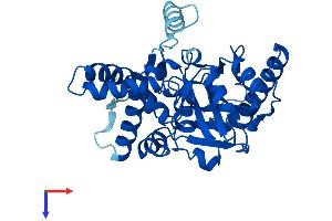 AlphaFold protein structure predicition of Human Recombinant MOGAT2 Protein, UniprotID Q3SYC2