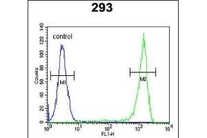 FL Antibody (C-term) (ABIN651674 and ABIN2840355) flow cytometric analysis of 293 cells (right histogram) compared to a negative control cell (left histogram). (AAGAB anticorps  (C-Term))