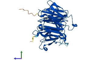 AlphaFold protein structure predicition of Mouse Recombinant Rae1 Protein, UniprotID Q8C570