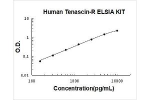 Tenascin R (Restrictin, Janusin) (TNR) ELISA Kit