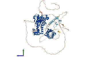 AlphaFold protein structure predicition of Human Recombinant POLI Protein, UniprotID Q9UNA4