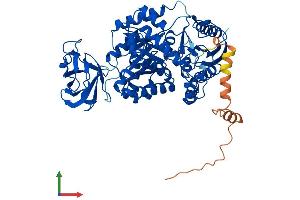 AlphaFold protein structure predicition of Human Recombinant PKLR Protein, UniprotID P30613