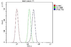 Flow Cytometry analysis of 293T cells using anti- GAD65/GAD2 antibody (ABIN7603170).