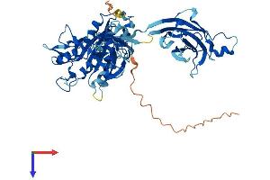 AlphaFold protein structure predicition of Mouse Recombinant Cpne8 Protein, UniprotID Q9DC53