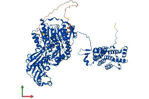 AlphaFold protein structure predicition of Human Recombinant ACLY Protein, UniprotID P53396