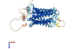 AlphaFold protein structure predicition of Human Recombinant SLC29A3 Protein, UniprotID Q9BZD2