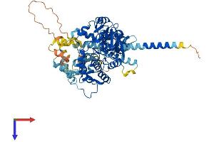 AlphaFold protein structure predicition of Mouse Recombinant Ppef1 Protein, UniprotID O35655