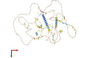 AlphaFold protein structure predicition of Mouse Recombinant Crtc1 Protein, UniprotID Q68ED7