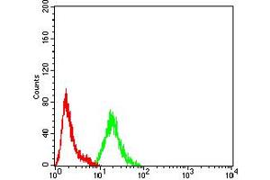 Flow cytometric analysis of HepG2 cells using ARFGAP1 mouse mAb (green) and negative control (red). (ARFGAP1 anticorps  (AA 270-414))