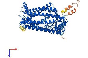 AlphaFold protein structure predicition of Mouse Recombinant Zmpste24 Protein, UniprotID Q80W54