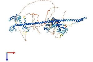 AlphaFold protein structure predicition of Human Recombinant PML Protein, UniprotID P29590