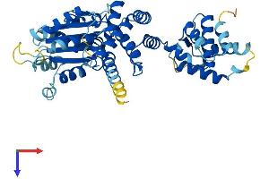 AlphaFold protein structure predicition of Mouse Recombinant Orc4 Protein, UniprotID O88708