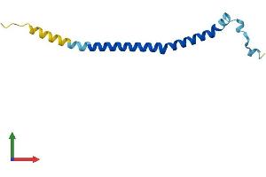 AlphaFold protein structure predicition of Human Recombinant DNM1P34 Protein, UniprotID Q6PK57