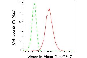 Flow cytometric analysis of vimentin expression in C2C12 cells using vimentin antibody (ABIN7800836), 1:2,000).