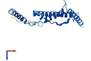 AlphaFold protein structure predicition of Human Recombinant NDUFB10 Protein, UniprotID O96000