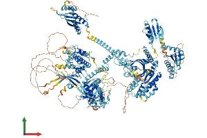 AlphaFold protein structure predicition of Mouse Recombinant Eif2ak4 Protein, UniprotID Q9QZ05