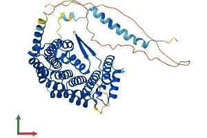 AlphaFold protein structure predicition of Human Recombinant IFRD1 Protein, UniprotID O00458