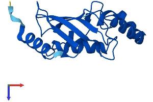 AlphaFold protein structure predicition of Human Recombinant UBE2N Protein, UniprotID P61088