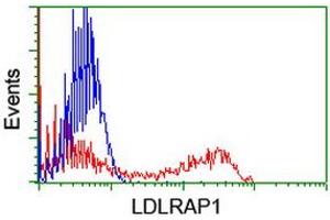 Flow Cytometry (FACS) image for anti-Low Density Lipoprotein Receptor Adaptor Protein 1 (LDLRAP1) antibody (ABIN1496691) (LDLRAP1 anticorps)