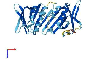 AlphaFold protein structure predicition of Mouse Recombinant Hus1b Protein, UniprotID Q8K572