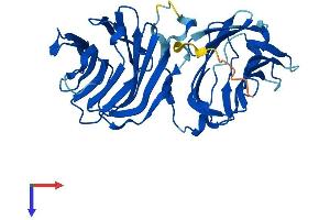 AlphaFold protein structure predicition of Mouse Recombinant Lgals12 Protein, UniprotID Q91VD1