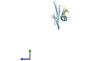 AlphaFold protein structure predicition of Human Recombinant RNF20 Protein, UniprotID Q5VTR2