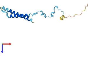 AlphaFold protein structure predicition of Mouse Recombinant Mmgt2 Protein, UniprotID Q8R3L0
