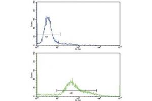Flow cytometric analysis of HeLa cells using CD71 antibody (bottom histogram) compared to a negative control (top histogram).