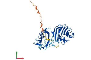 AlphaFold protein structure predicition of Human Recombinant LGALS12 Protein, UniprotID Q96DT0