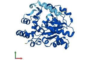 AlphaFold protein structure predicition of Human Recombinant SULT6B1 Protein, UniprotID Q6IMI4