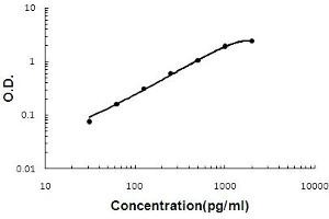 Sandwich ELISA - Recombinant mouse Oncostatin M/Osm protein standard curve. (Oncostatin M anticorps  (AA 25-206))